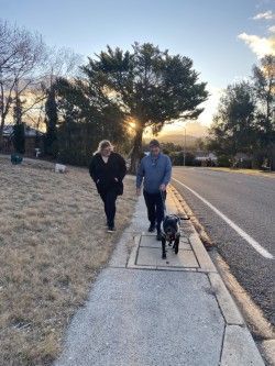 Two people walking a dog on a sidewalk near a road with a tree and sunset in the background.