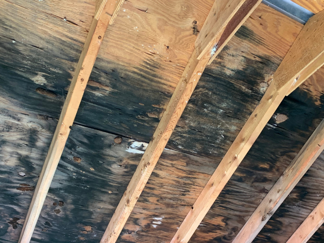 A wood roof with dark mold running across the width of it.