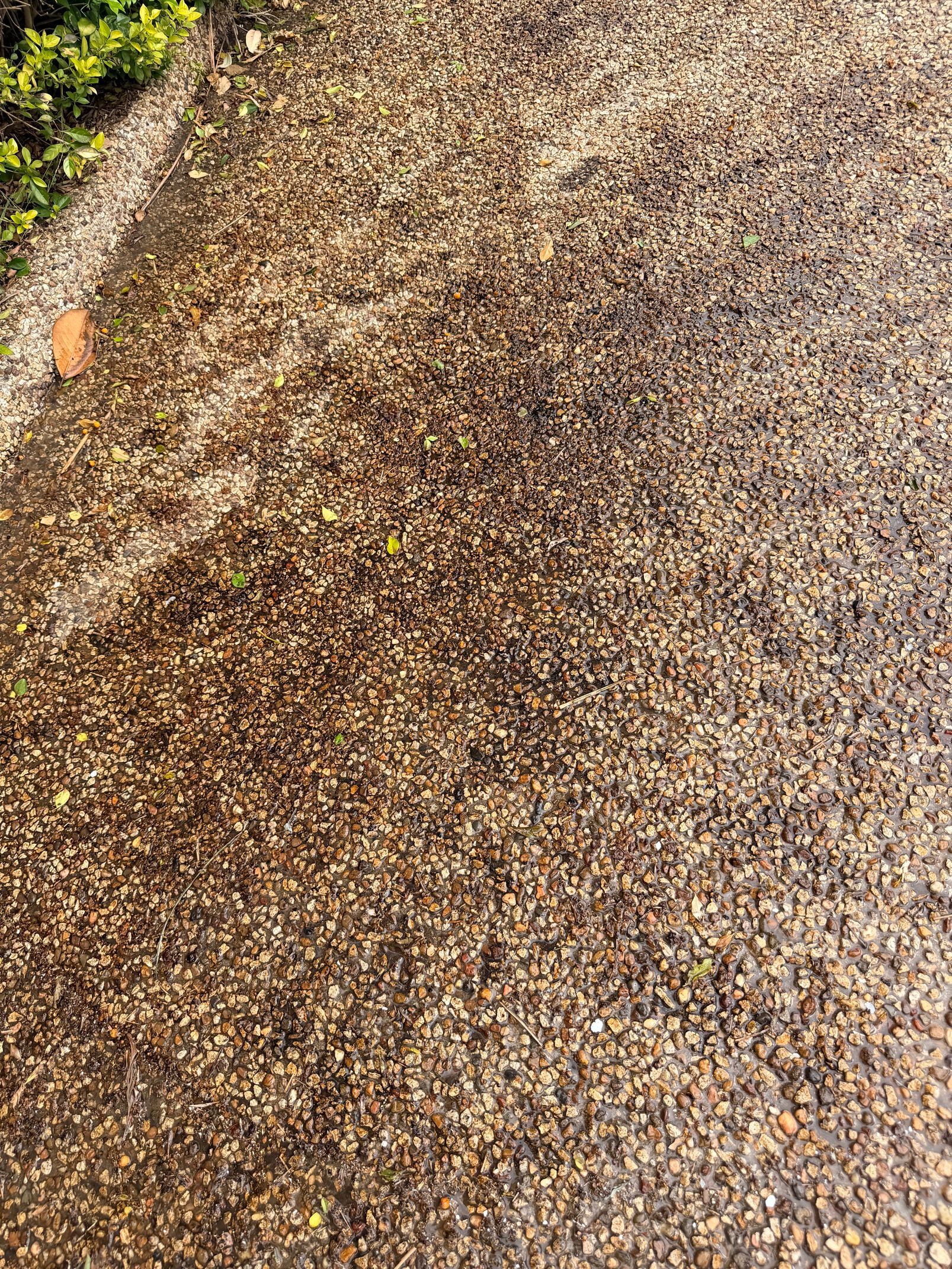 Bat Dropping removal from concrete and exposed aggregate 