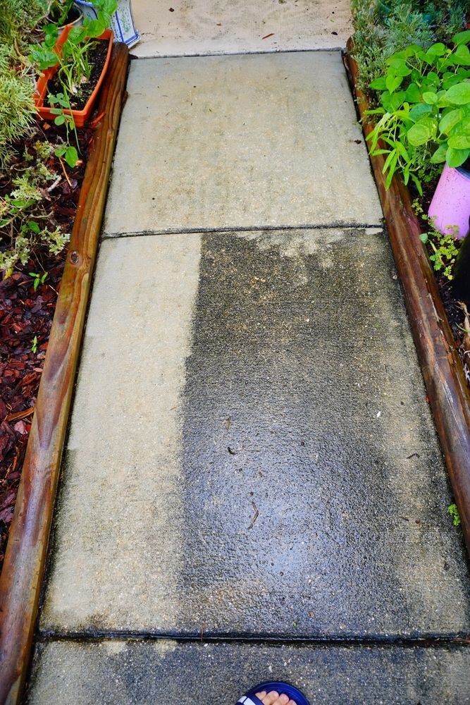 Wet concrete walkway bordered by garden beds and plants, leading to a step.