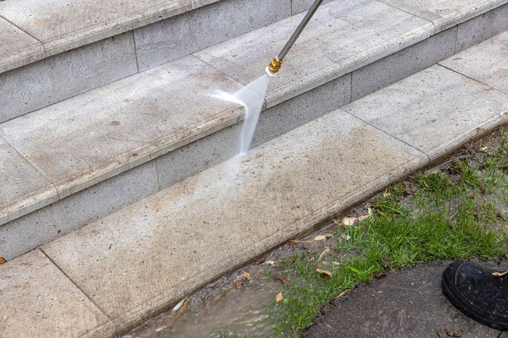 Concrete walkway with wet patches, bordered by garden plants