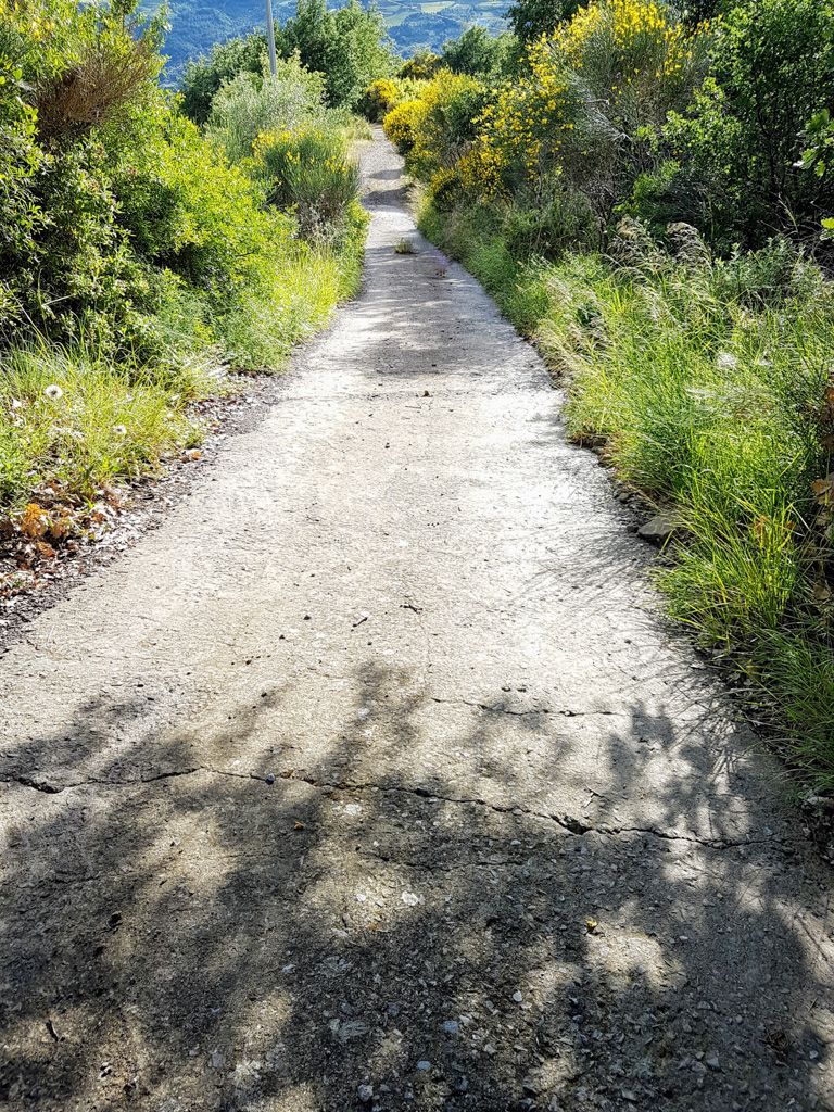 cycling in Liguria