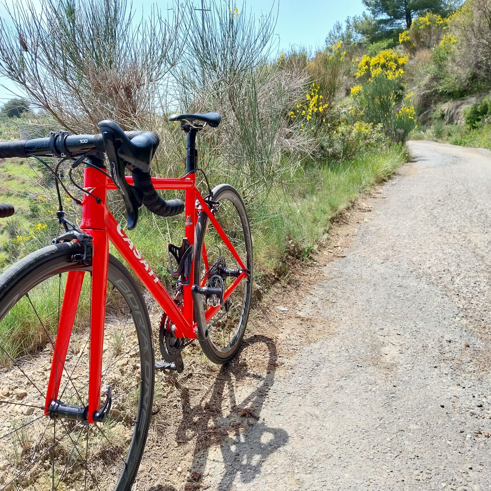 Rudi's Driveway