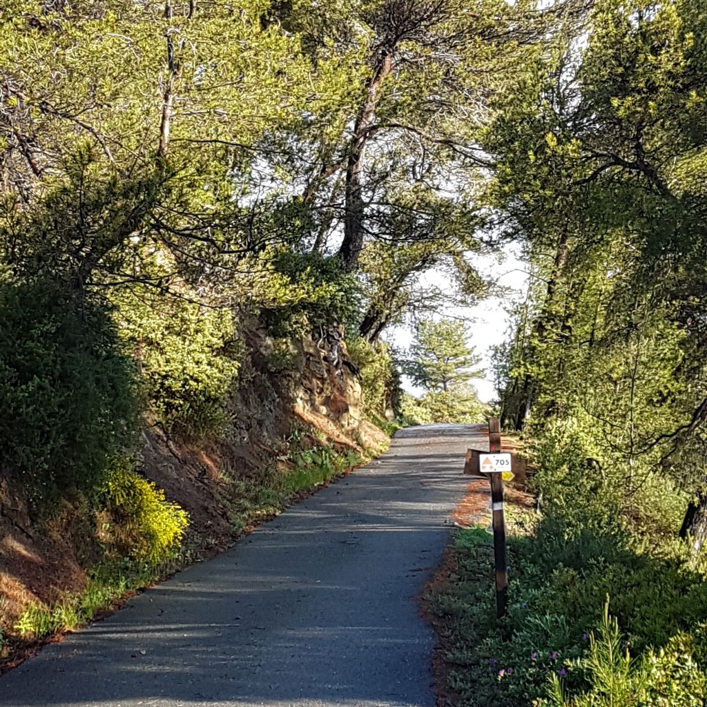 cycling in Liguria