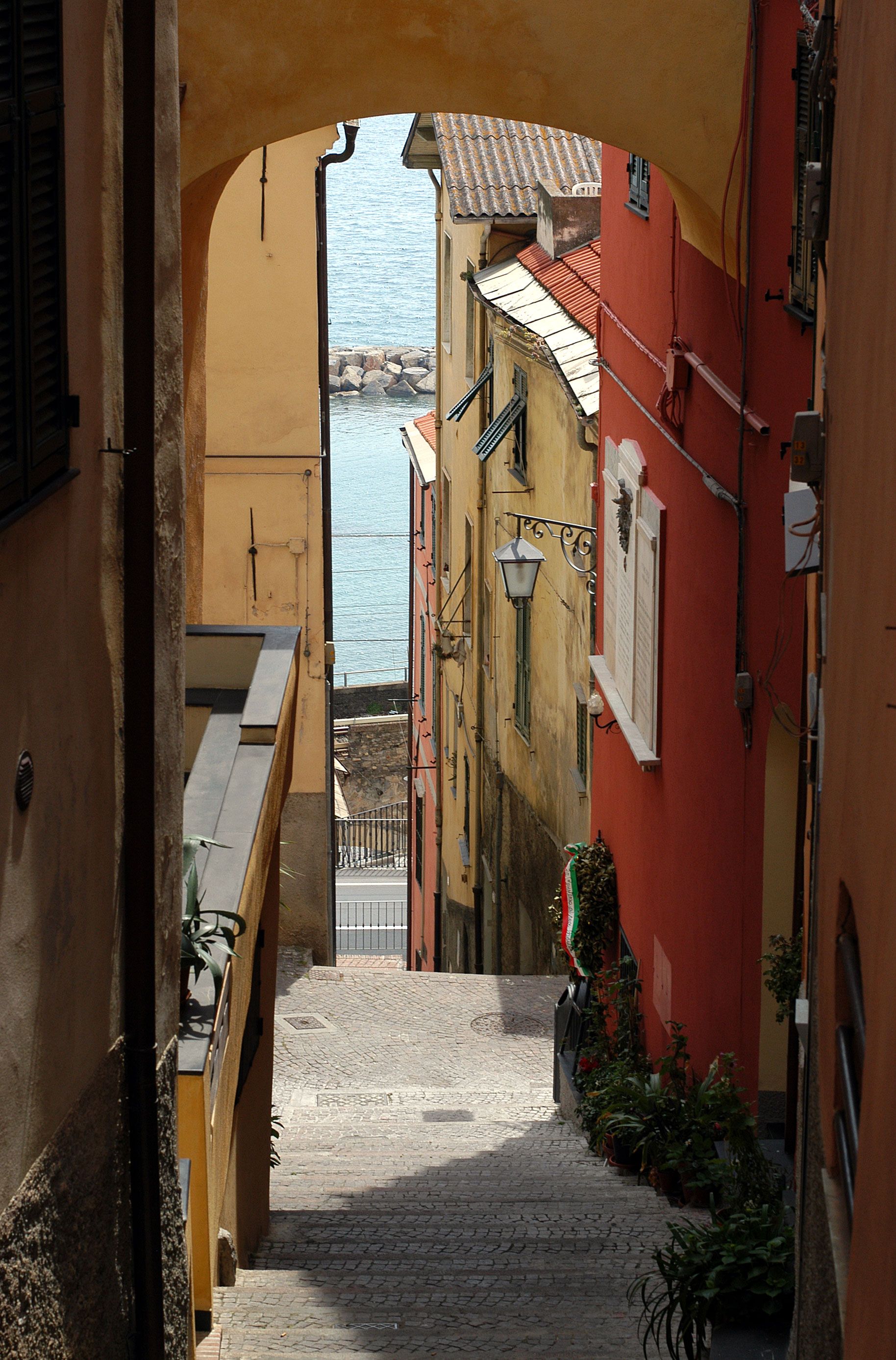 cervo