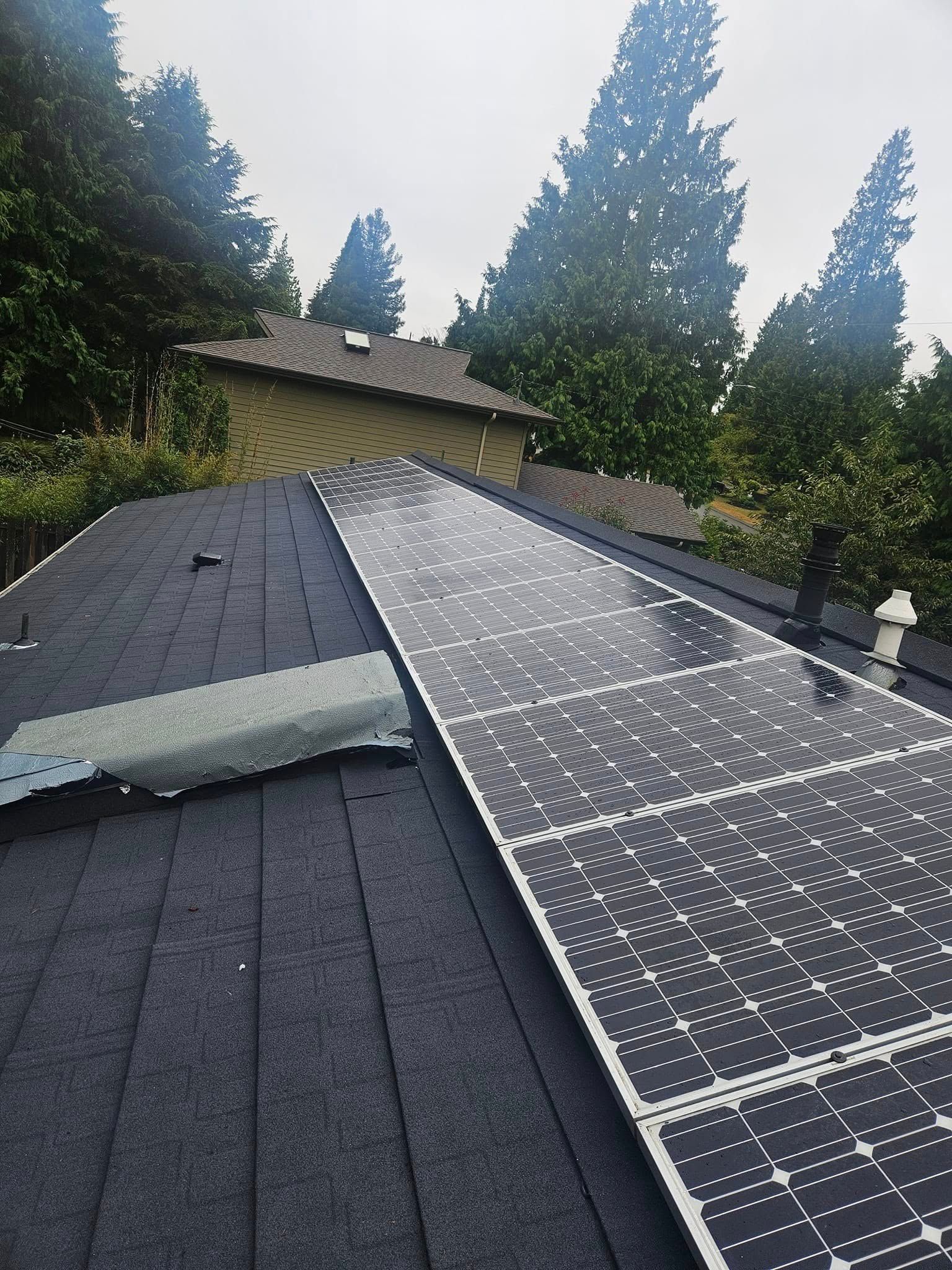 Solar panels installed on a dark shingled roof beside tall trees and a house roofline.