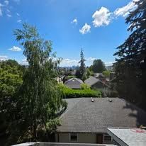 Residential neighborhood seen from above with rooftops, tall trees, and a bright blue sky with clouds