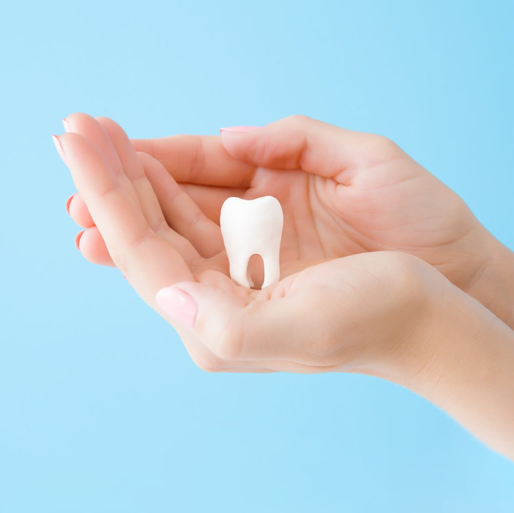 Person holding tooth in hands