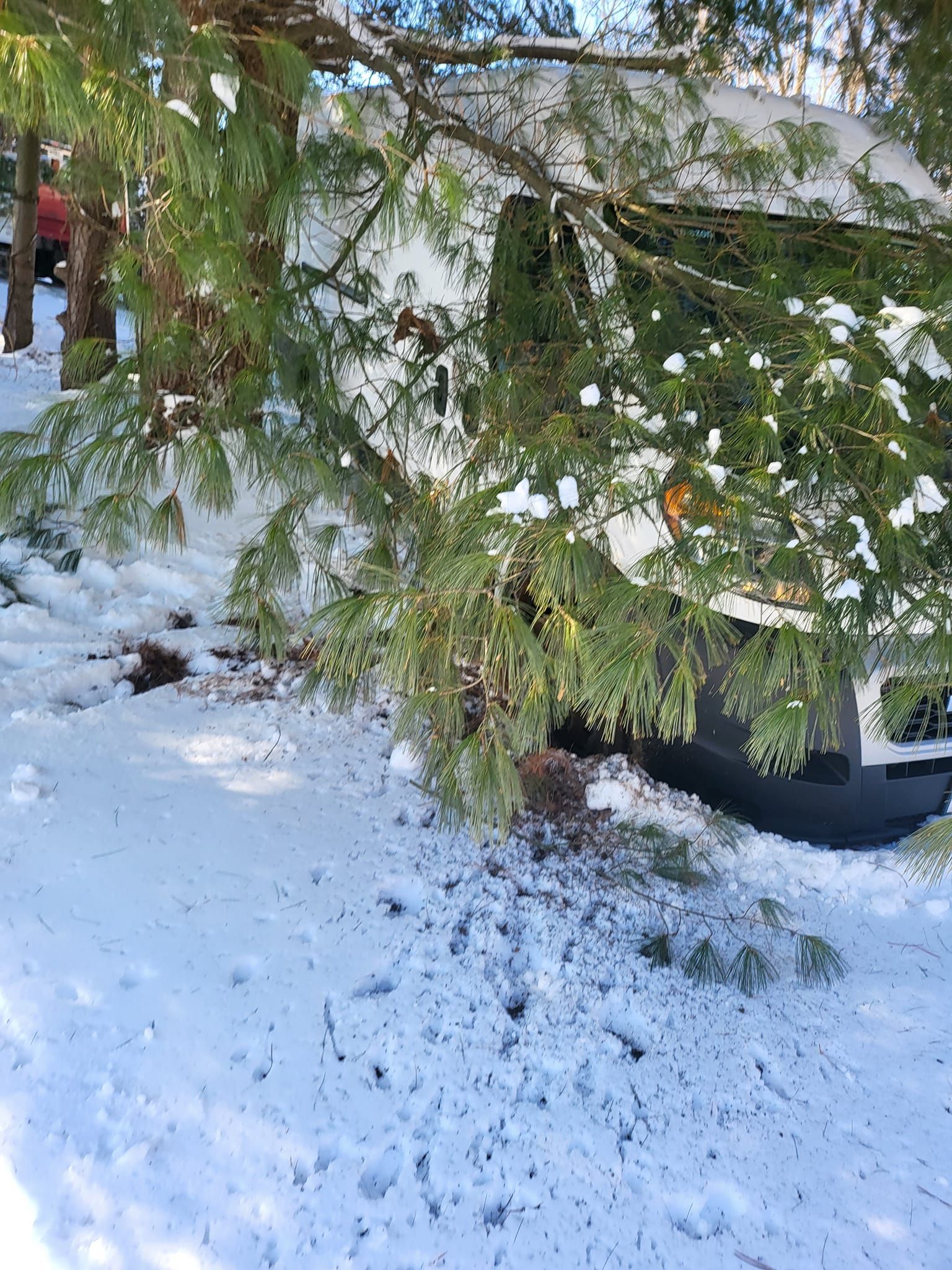 A car is stuck under a tree in the snow.
