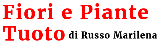 logo fiori e piante tuoto verbicaro