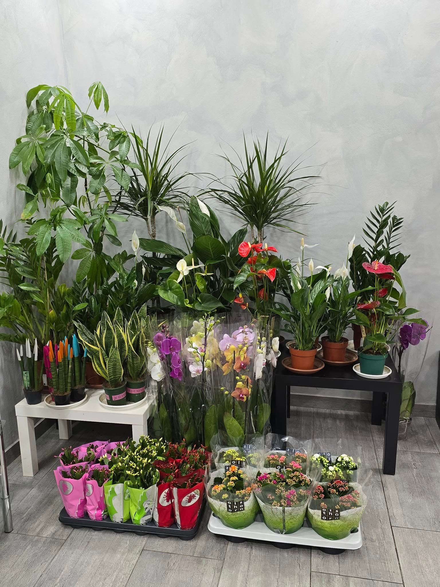 negozio di fiori