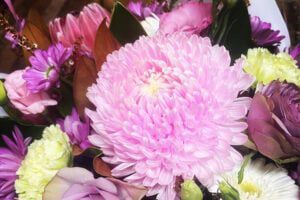 Flowers — Equilaw Solicitors In Muswellbrook NSW