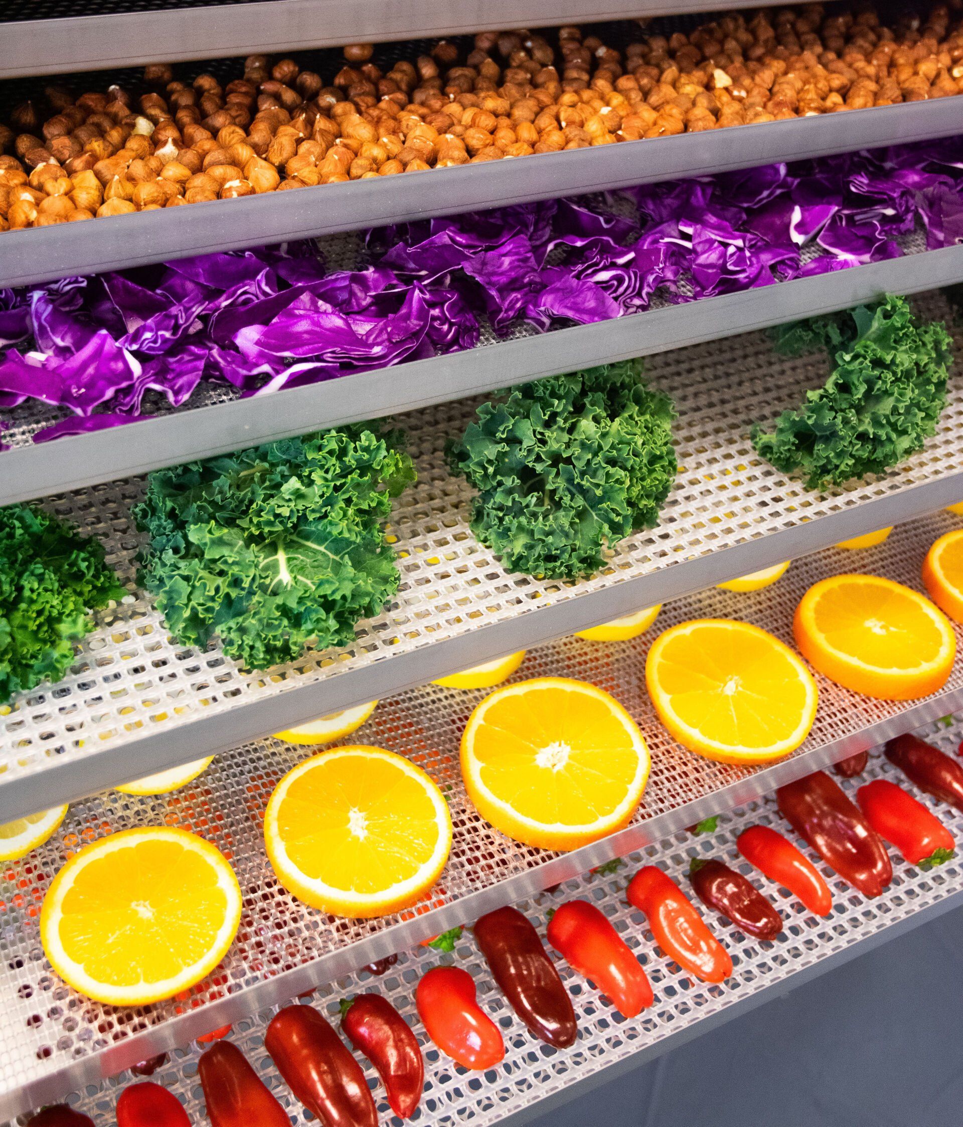 Food Staged in Dehydrator - Dehydration 101