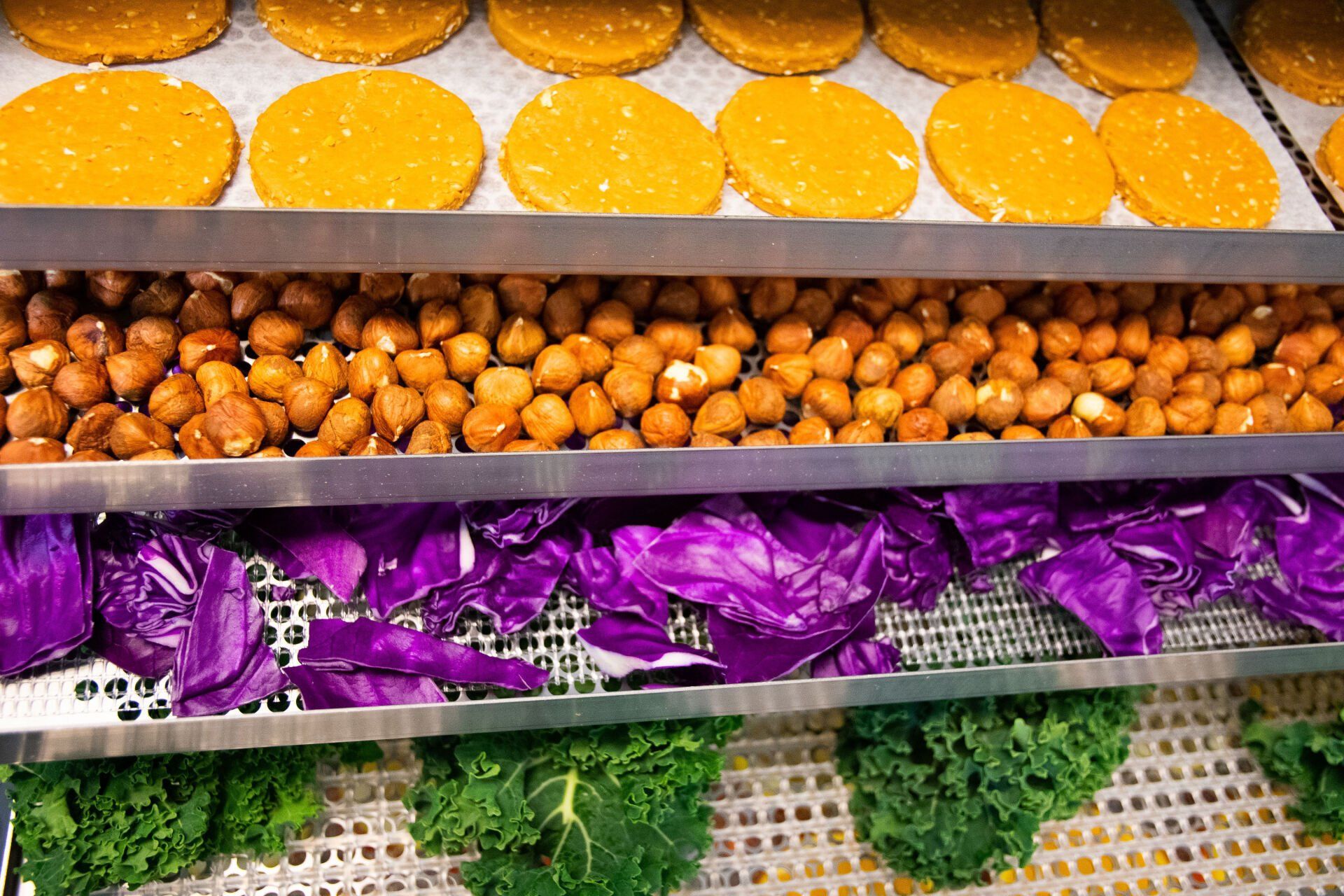 Food Staged in Dehydrator - Dehydration 101