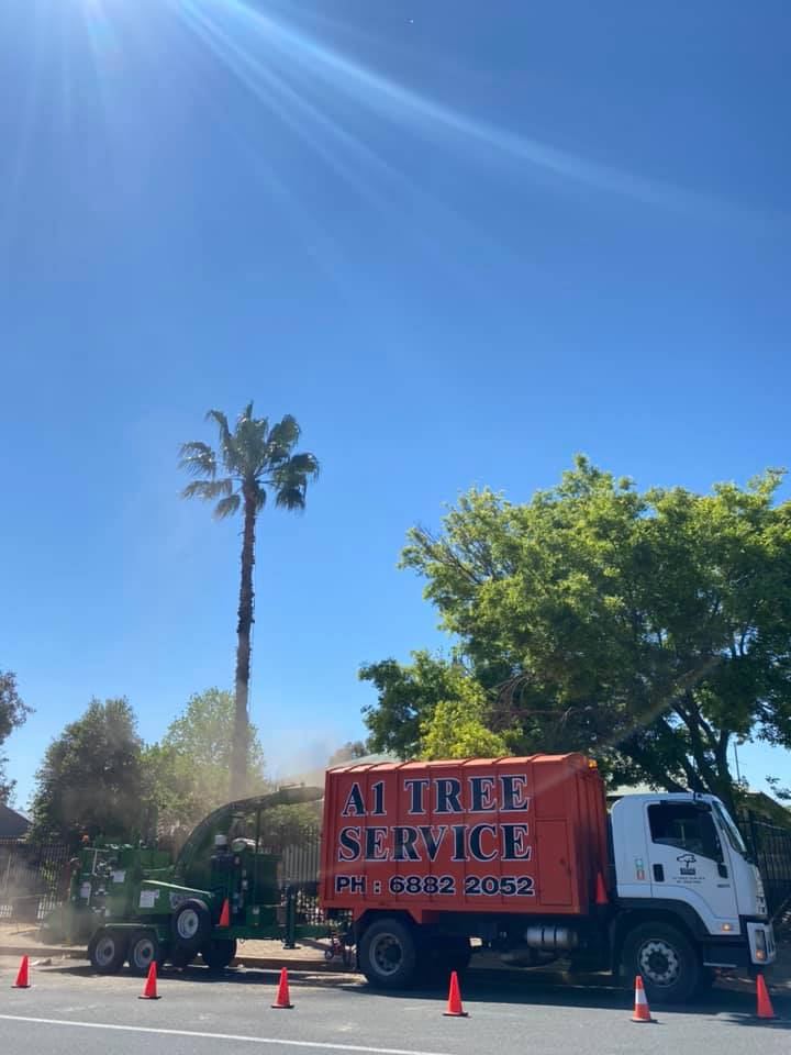 Chipper at Work — A1 Tree Services NSW in Dubbo, NSW