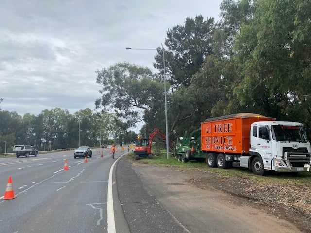 Commercial Tree Services — A1 Tree Services NSW in Dubbo, NSW
