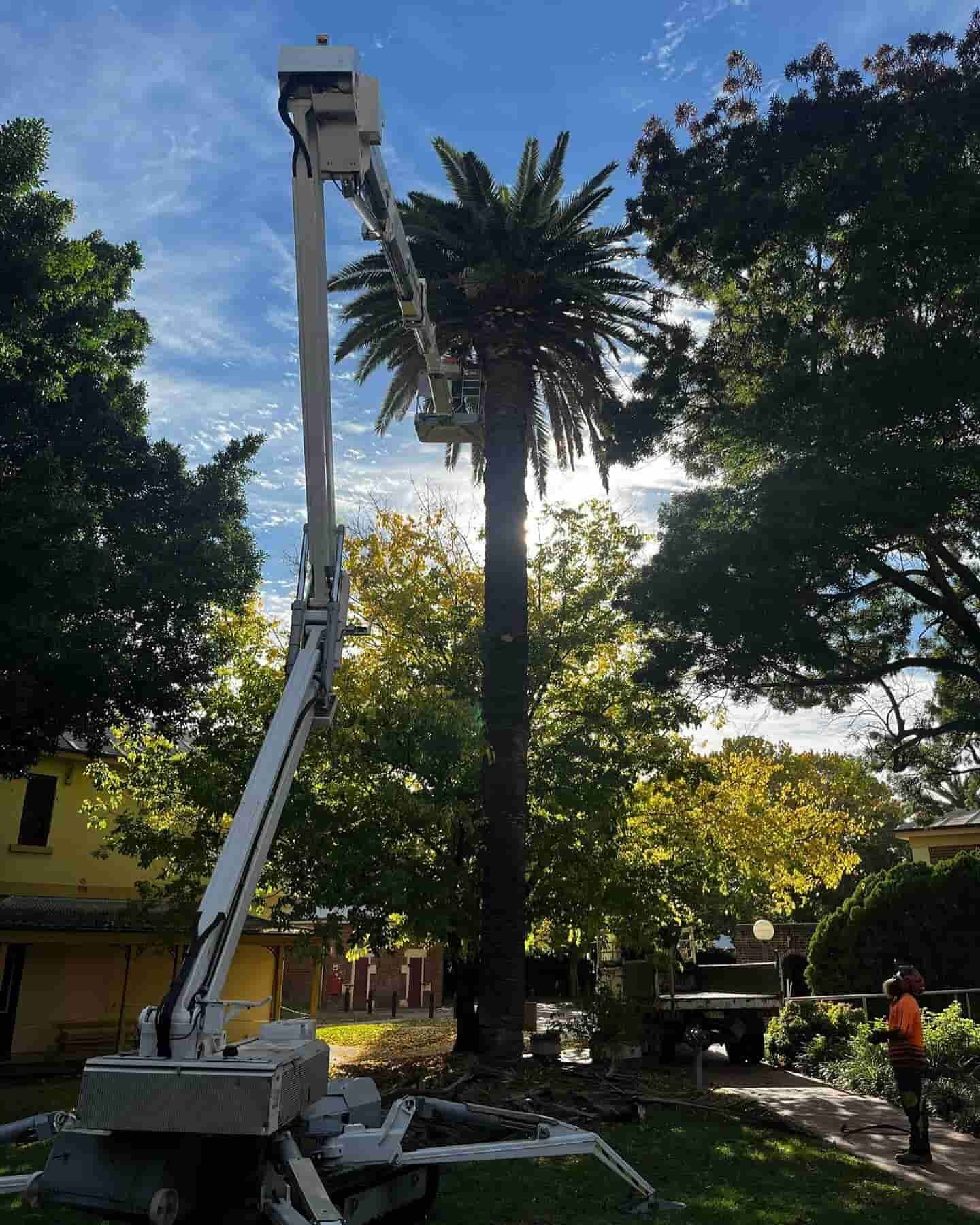 A Worker in an Orange Vest Operates a Crane — A1 Tree Services NSW in Dubbo, NSW