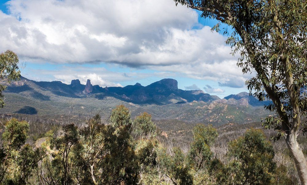 Coonabarabran Scenic View — A1 Tree Services NSW in Coonabarabran, NSW