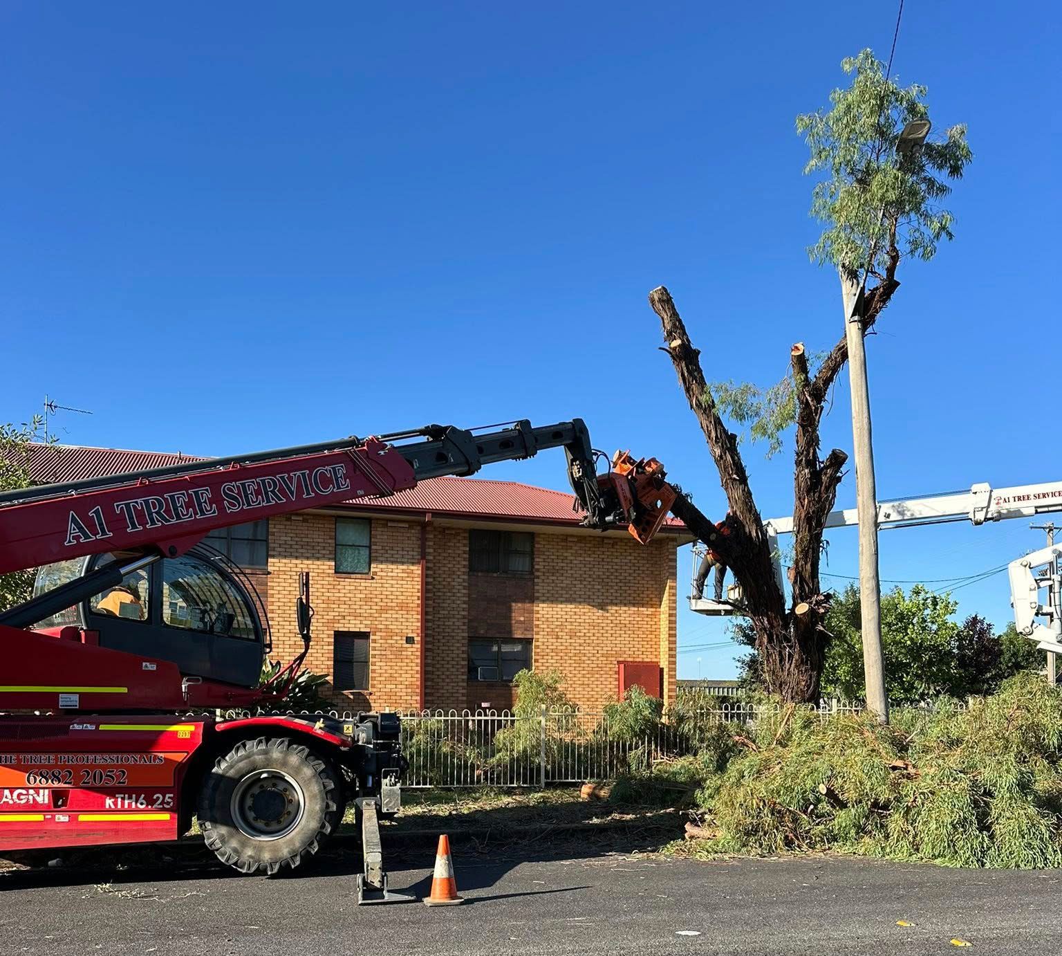Tree Service In Dubbo