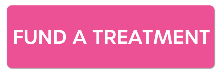 A pink button that says `` fund a treatment '' on a white background.