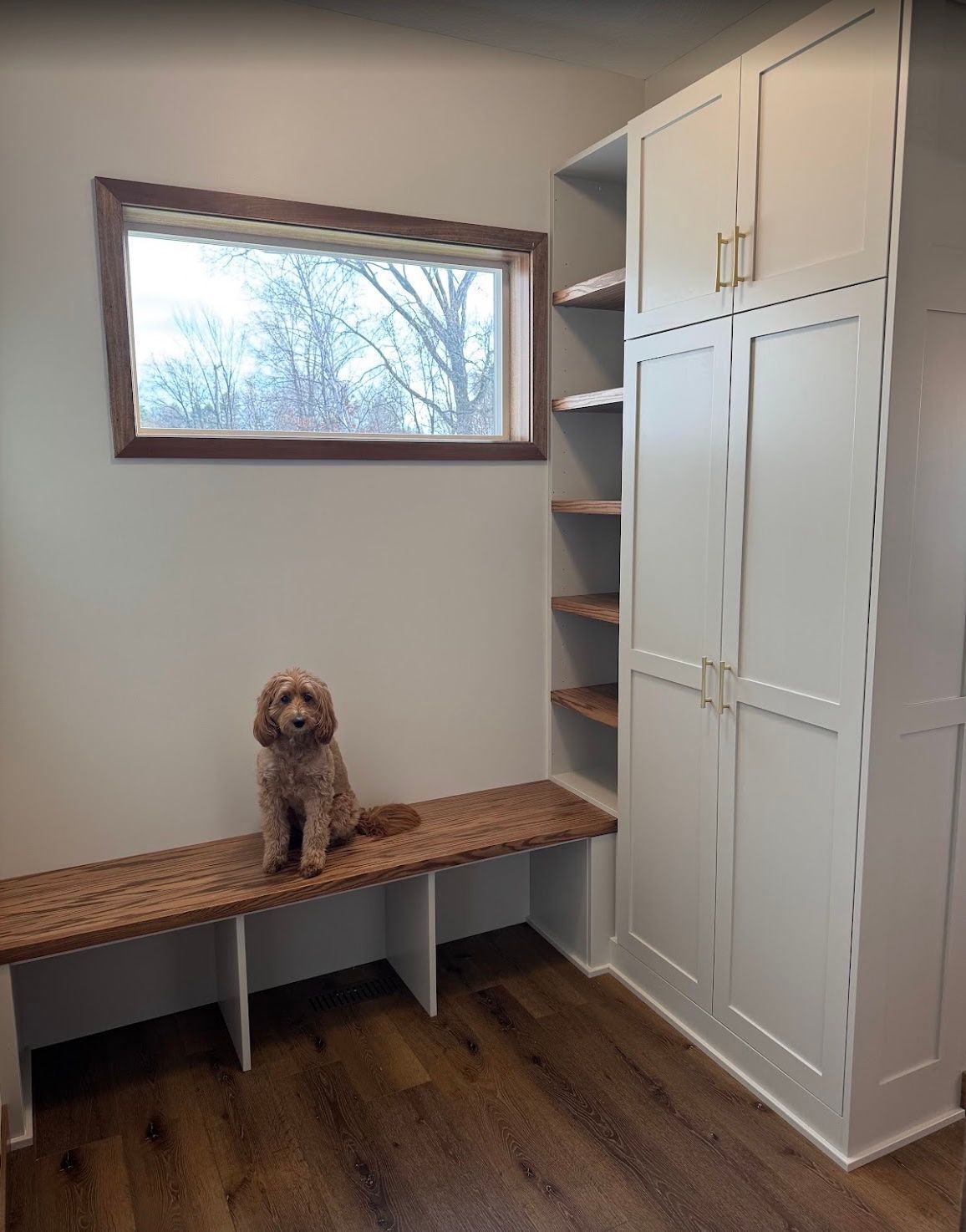 A dog is sitting on a bench in a room next to a window.
