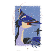 Winter Grebe