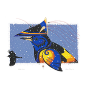 Winter Oriole