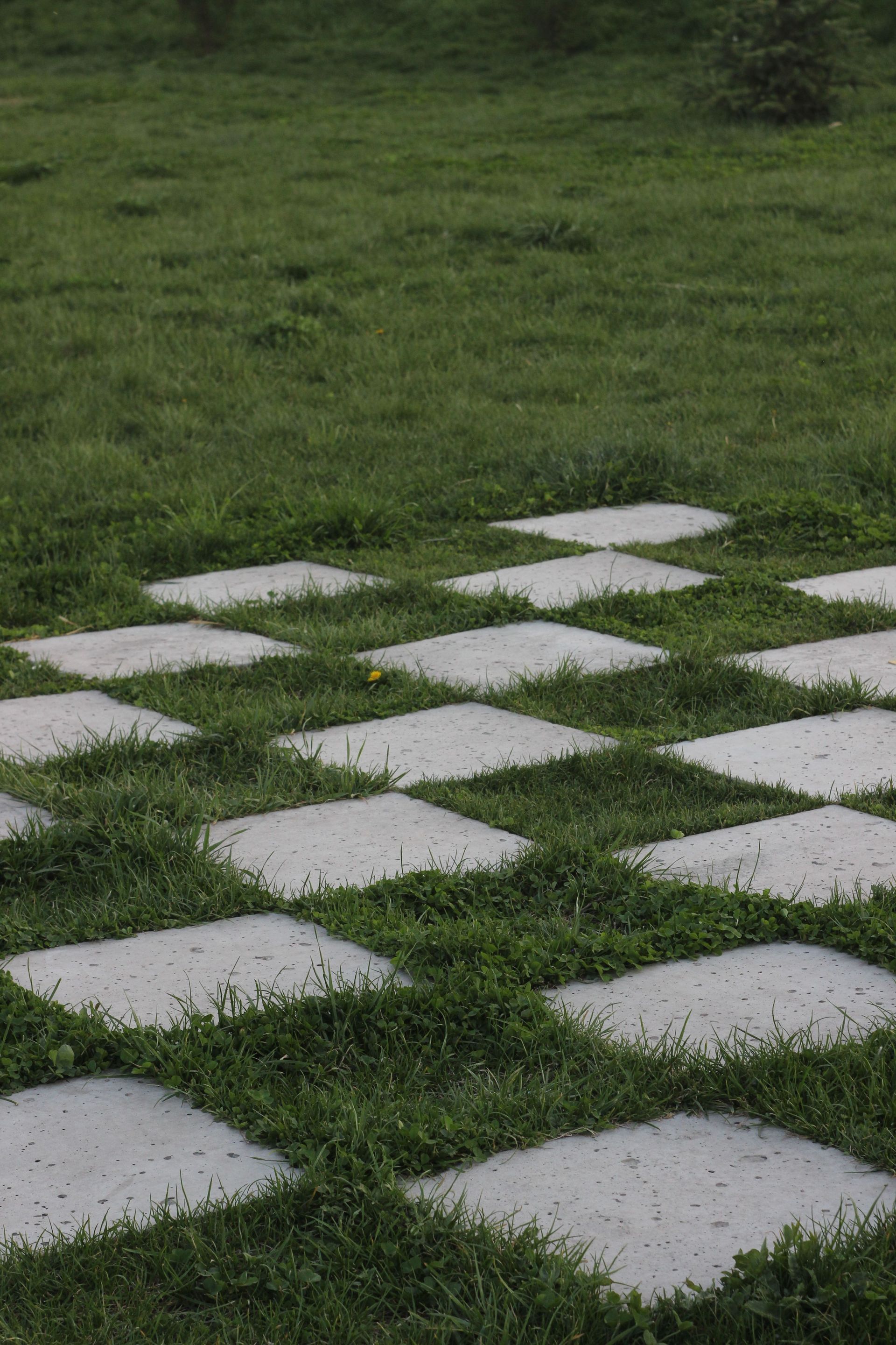 White stepping stones set in green grass in a garden path pattern