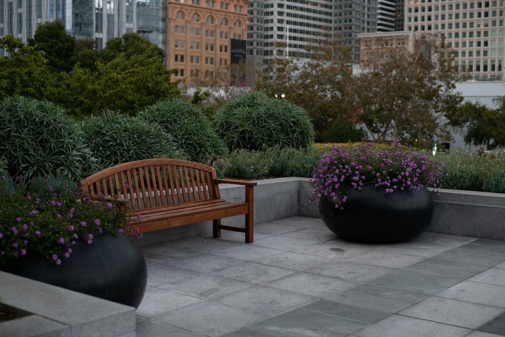 Wooden bench on a paved rooftop terrace with large black planters of purple flowers and city buildings behind.