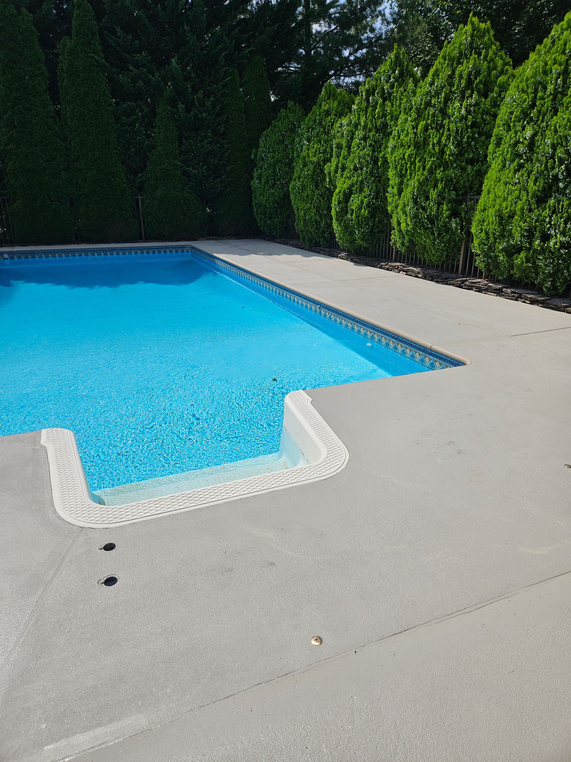 A bright blue swimming pool with white steps, surrounded by a light-colored concrete deck and tall green evergreen trees.