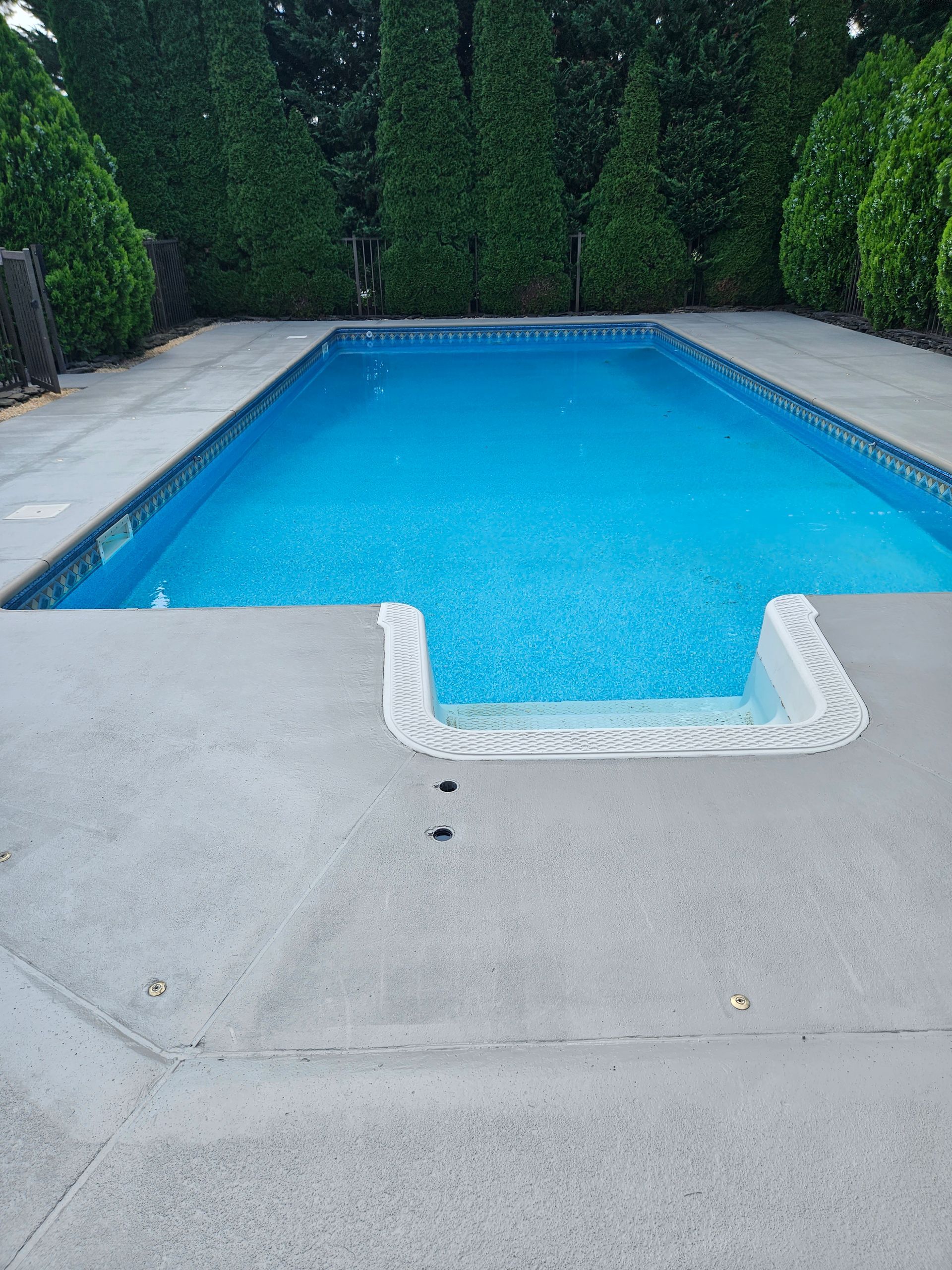 A rectangular outdoor swimming pool with bright blue water, surrounded by gray concrete decking and tall green hedges.