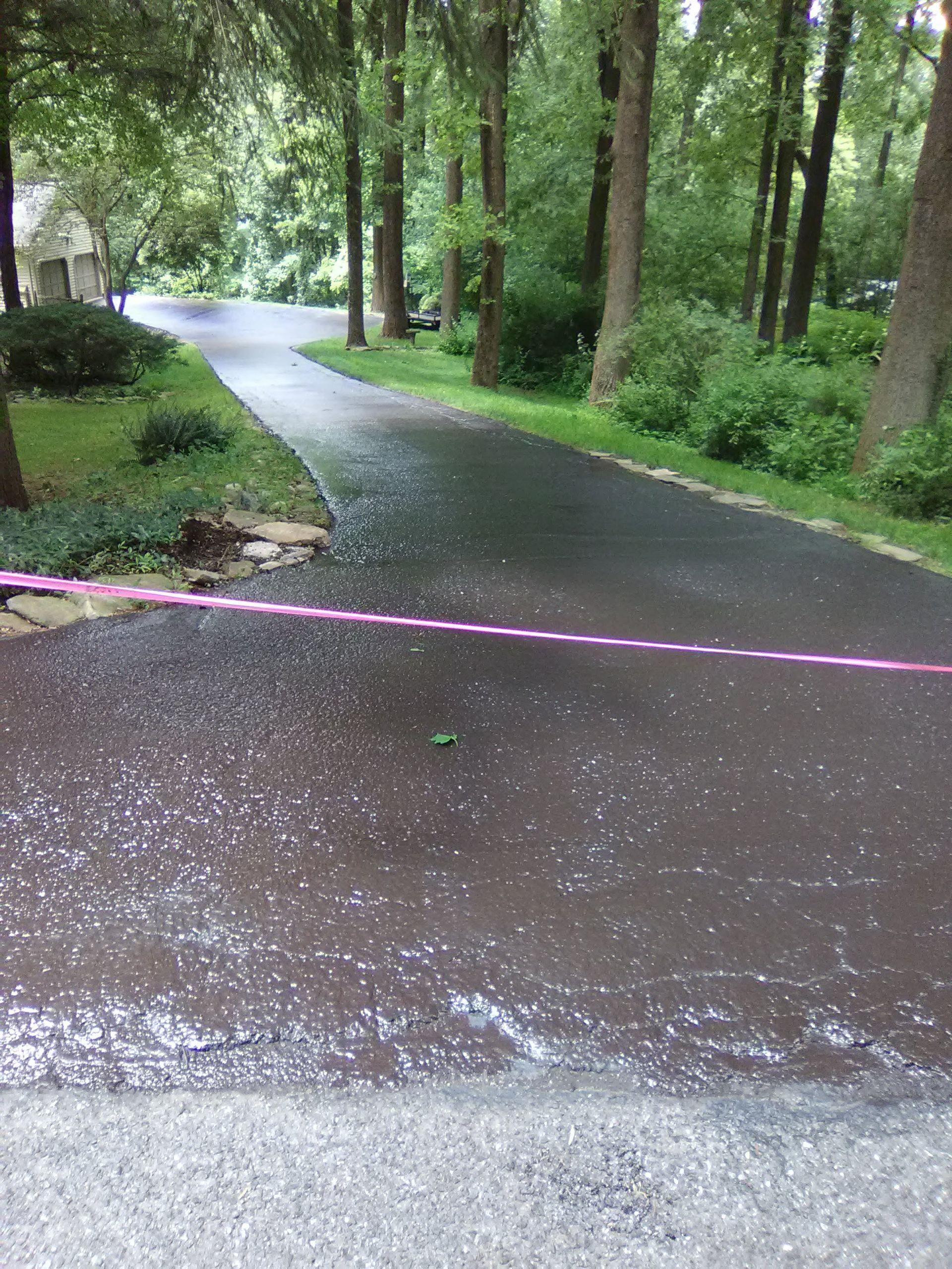 A rain-slicked driveway curves through a wooded yard, crossed by a pink caution tape.