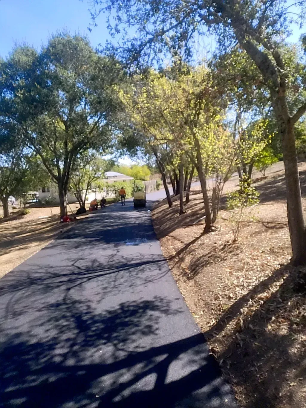 Shaded paved path through trees in a sunny park, with a small structure in the distance