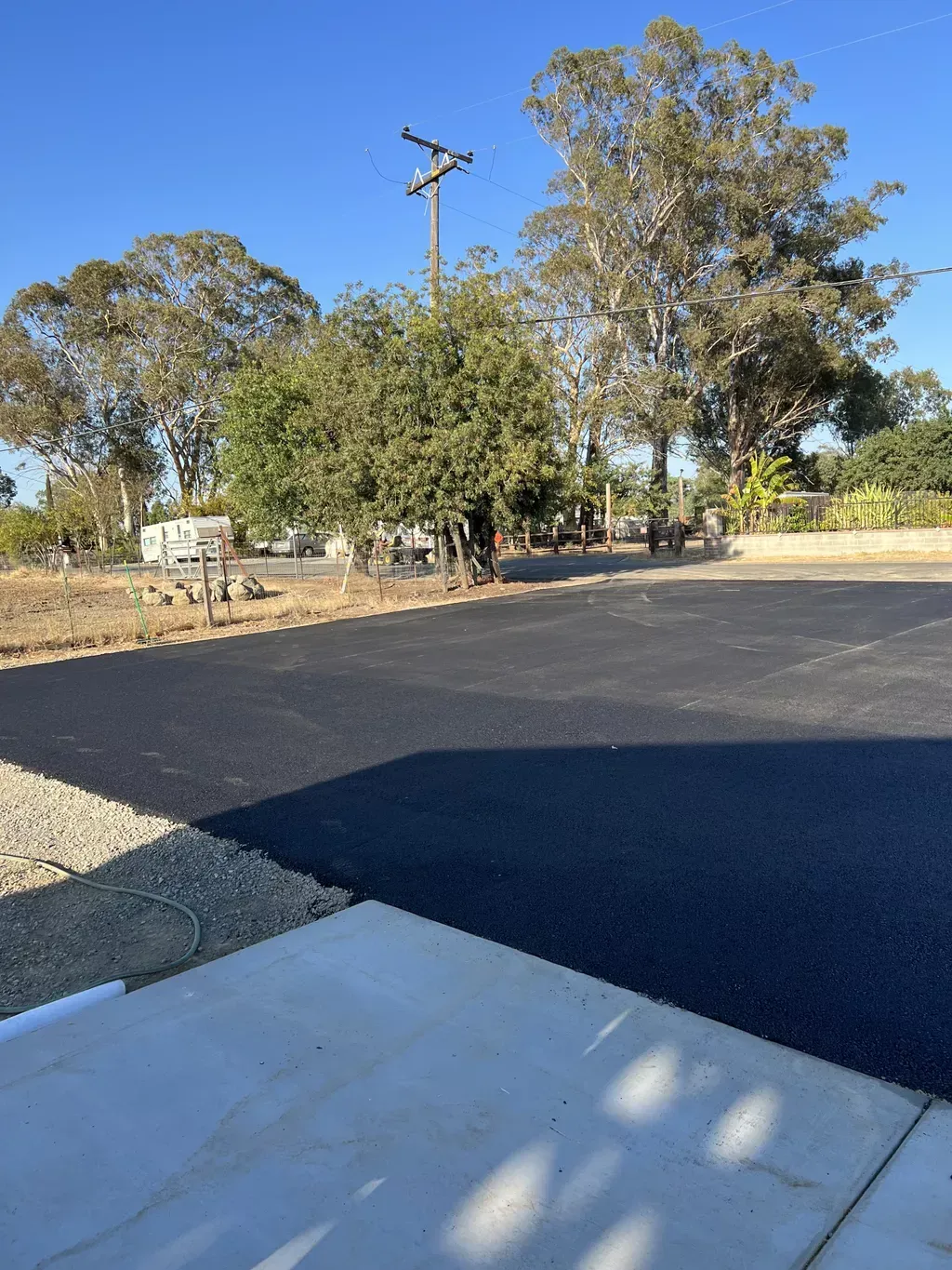 Paved lot beside trees and a utility pole under clear blue sky, with a concrete curb in the foreground