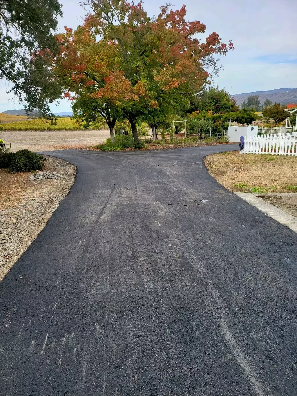 Curved driveway leading to a tree with autumn leaves beside a white fence in a rural landscape