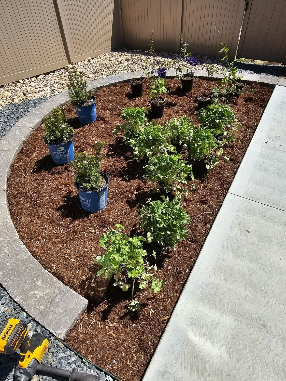A landscaped, curved garden bed with mulch and assorted green plants in blue and black pots next to a concrete path.