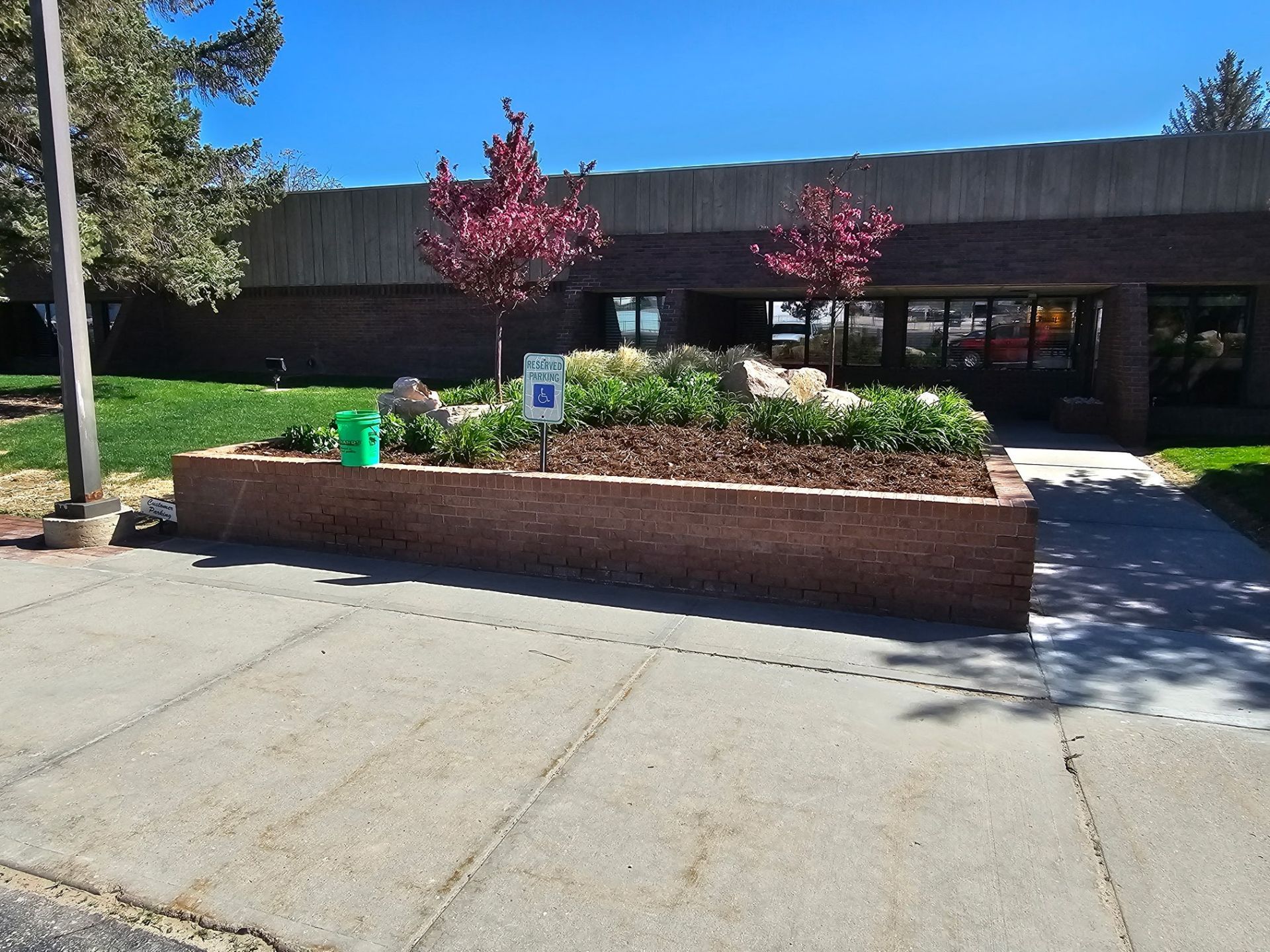 A landscaped garden bed with mulch and two small trees, positioned in front of a brick building on a sunny day.
