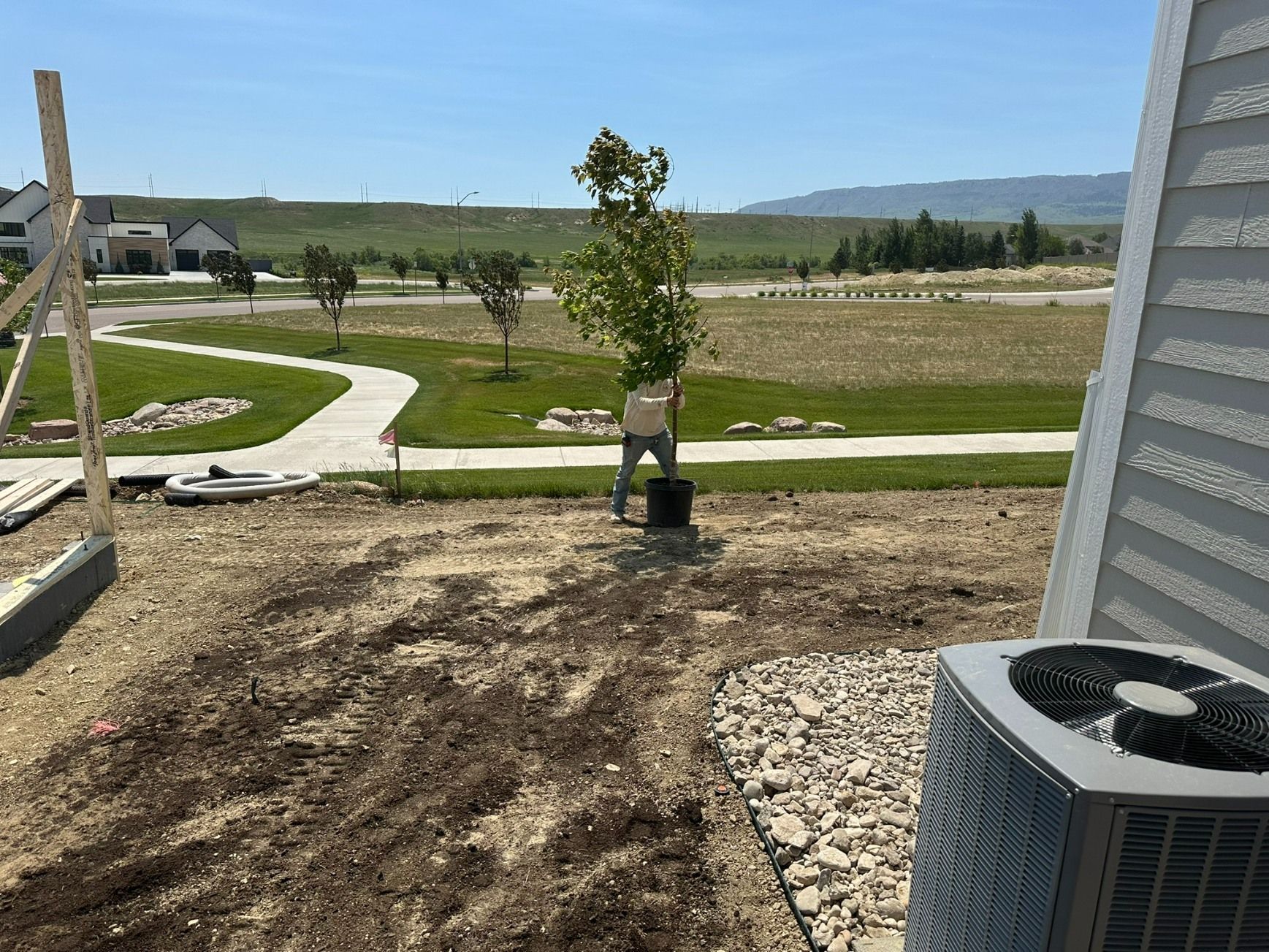 A person carries a potted tree across a dirt yard near a house exterior with an air conditioning unit.