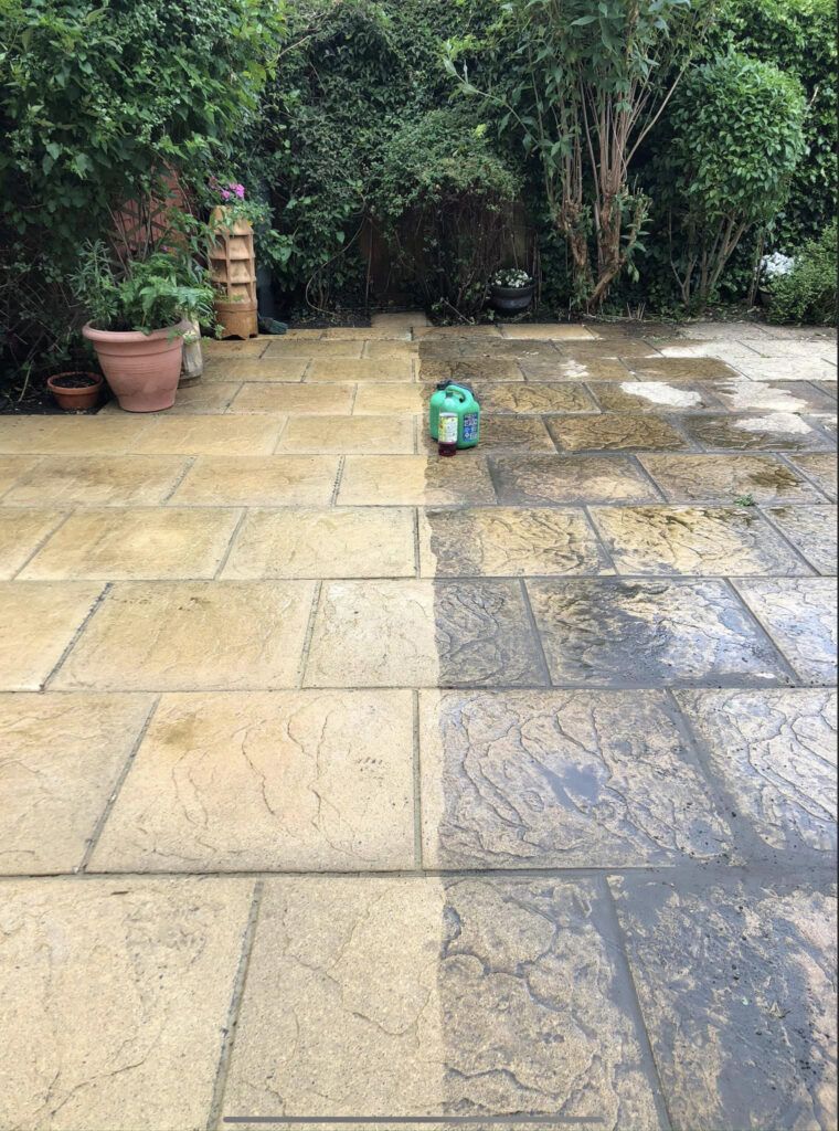 Rainy patio with stone tiles, potted plants, dense greenery, and a small green toy centered on the ground