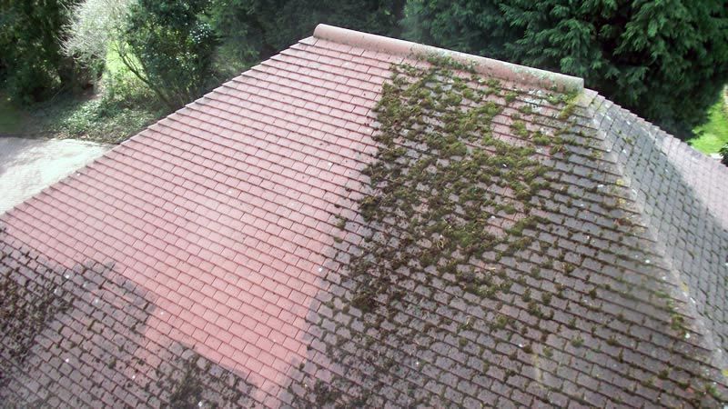 Moss-covered red-tiled roof seen from above, with trees and greenery around it