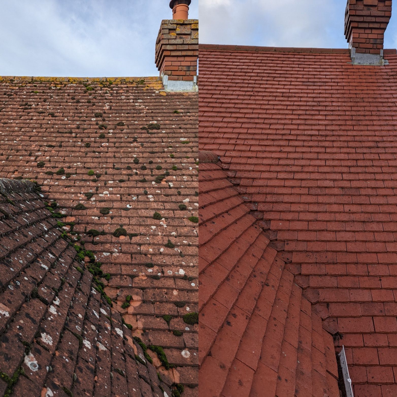 Weathered red-tiled rooftops with moss and chimneys under a blue sky