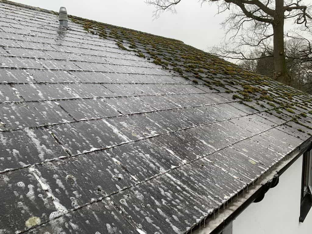 Snow-dusted dark shingled roof with patches of moss and bare trees in the background