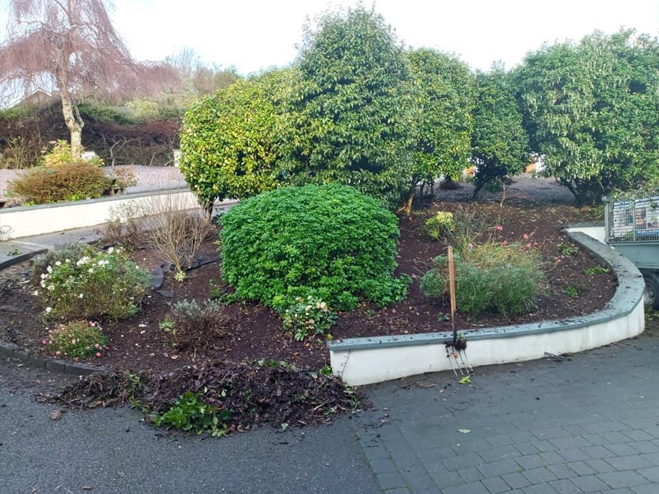 Landscaped garden bed with shrubs, bare trees, and a curved concrete border beside a paved path.
