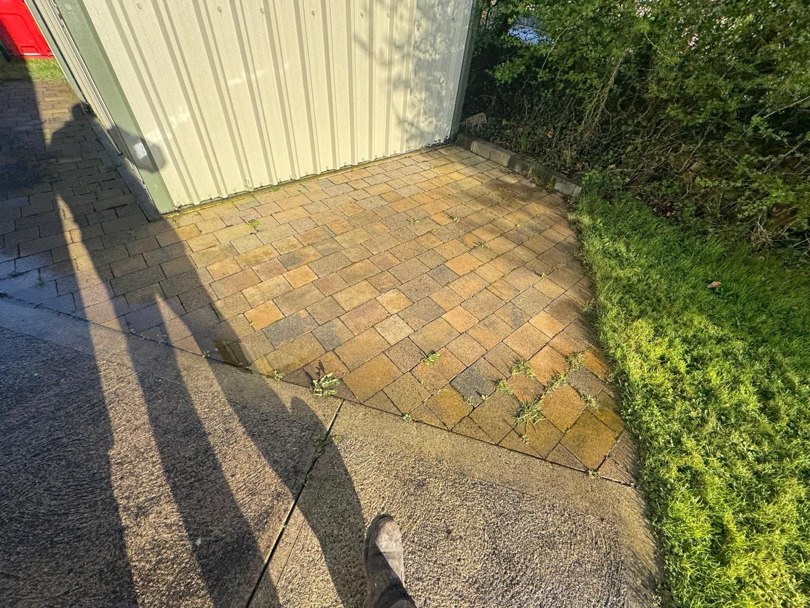 Sunlit driveway corner with brick pavers beside a white shed, grass, and long shadows