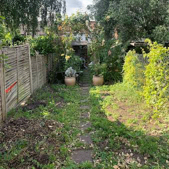 Narrow garden path between wooden fence and yellow hedges, leading to potted plants and a shaded gate.