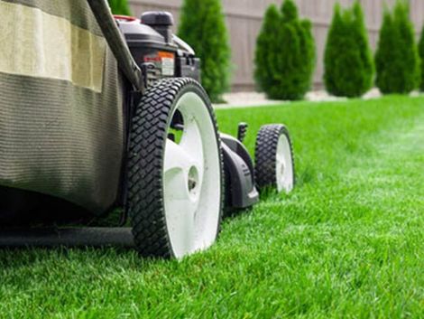Close-up of a lawn mower on green grass with blurred shrubs in the background