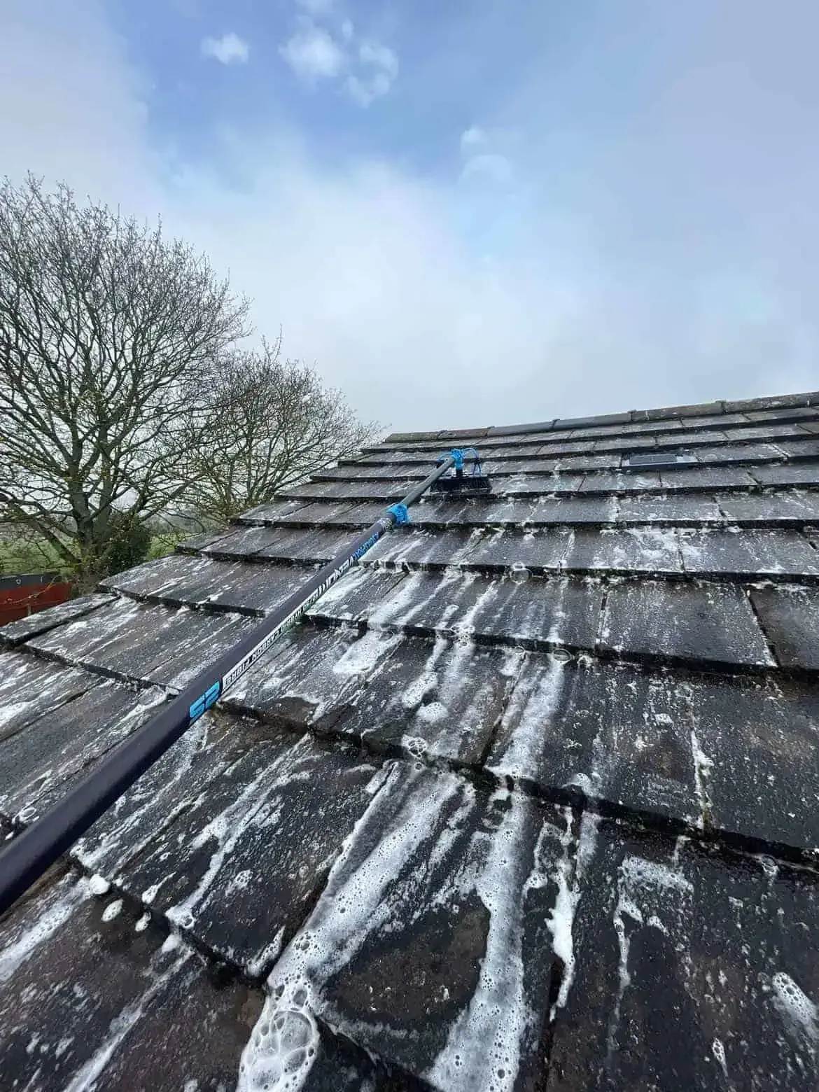 Snow-covered rooftop with patches of snow and a tree under a cloudy sky