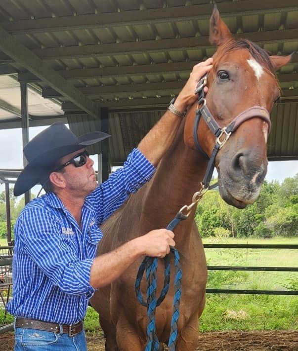 A Man In A Cowboy Hat Is Petting A Brown Horse — Jono Battle Equine Services In Charters Towers, QLD