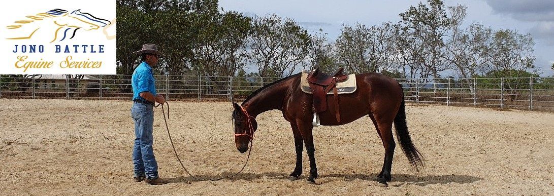 A Man Is Standing Next To A Brown Horse In A Dirt Field — Jono Battle Equine Services In Walkamin, QLD