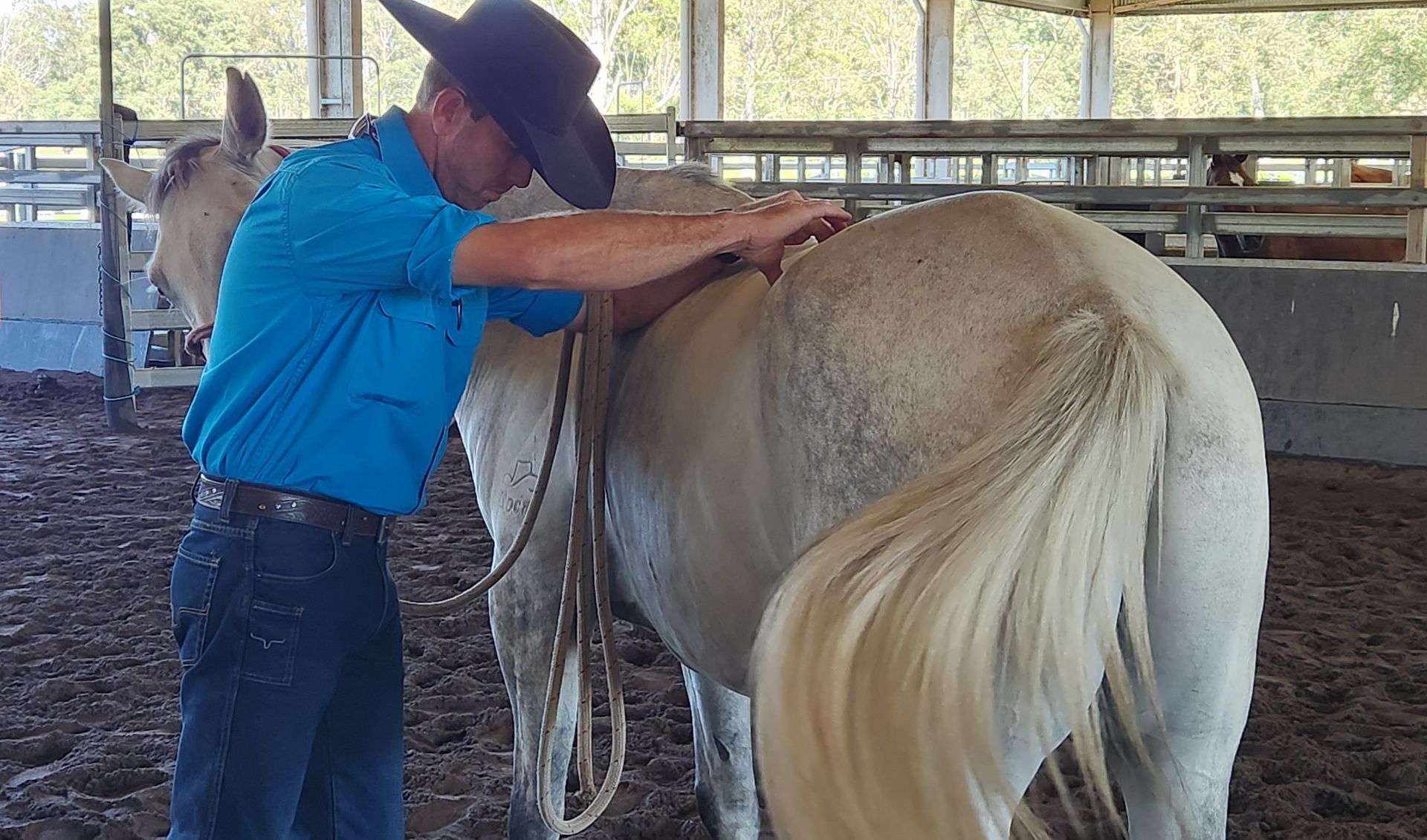 A Man In A Cowboy Hat Is Standing Next To A Brown Horse — Jono Battle Equine Services In Tablelands, QLD